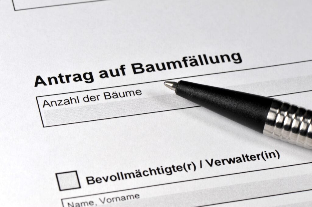 Die Baumprofiscv Zossen